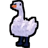 Swan